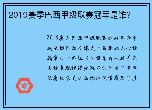 2019赛季巴西甲级联赛冠军是谁？