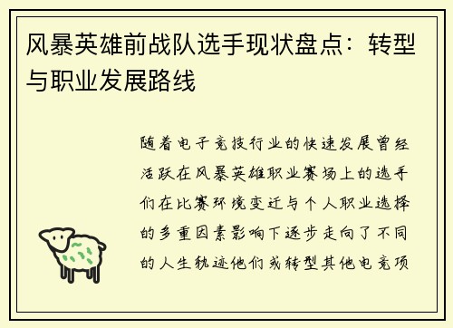 风暴英雄前战队选手现状盘点：转型与职业发展路线