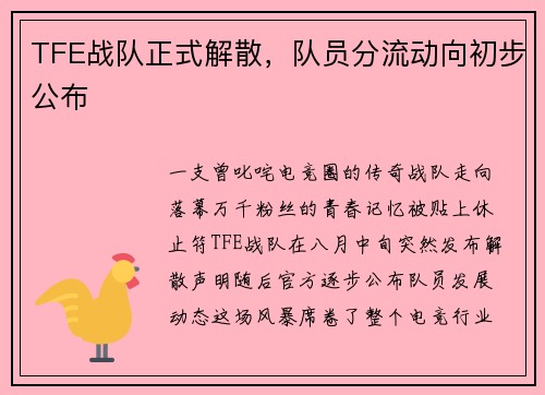 TFE战队正式解散，队员分流动向初步公布